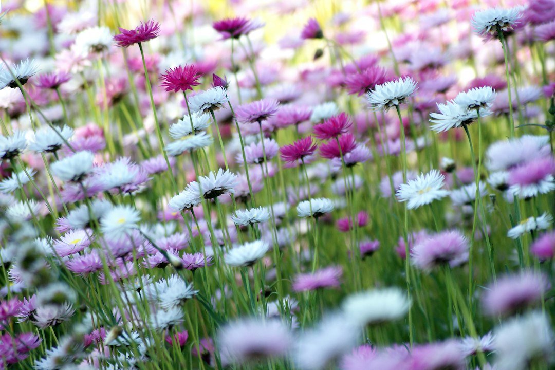 Plants and nursery production: illustrative photograph